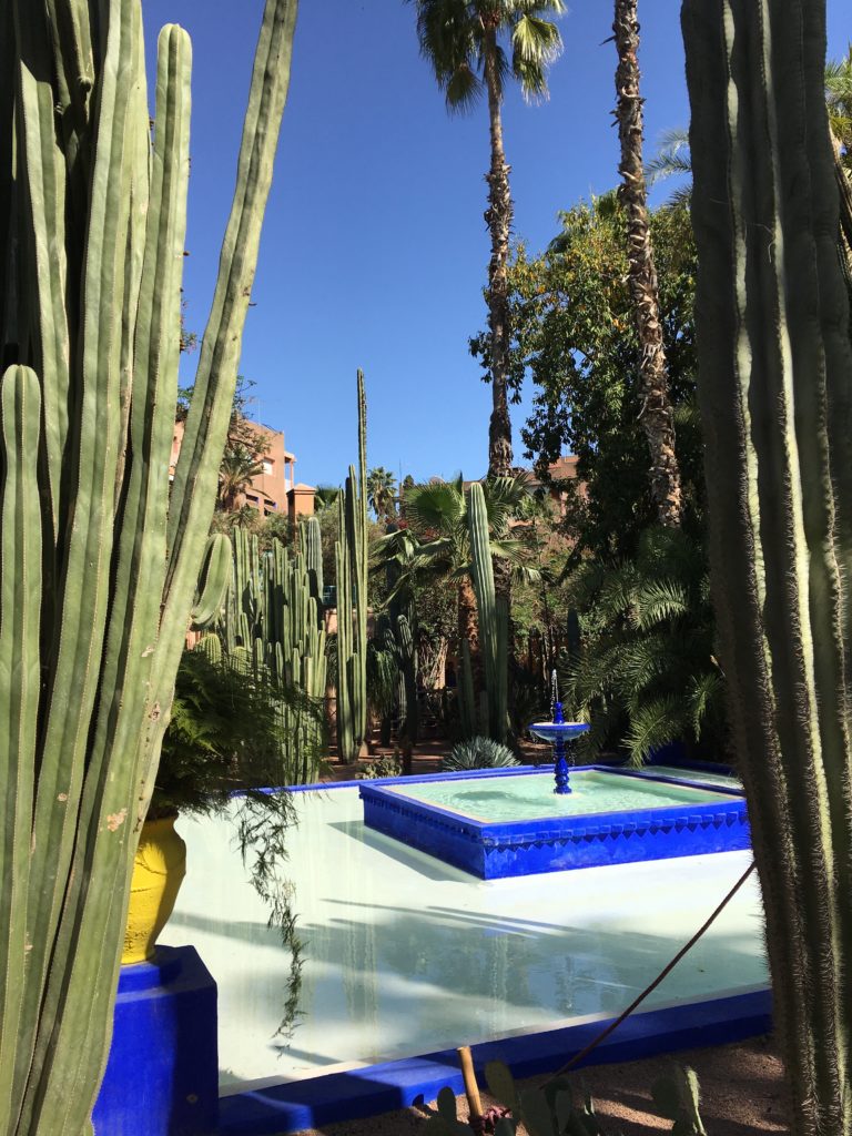 Jardin Majorelle Marrakesh Morocco with a stunning blue fountain